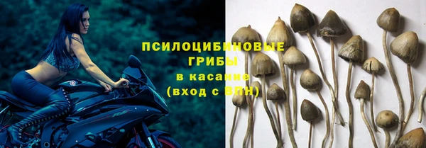 амф Лиски